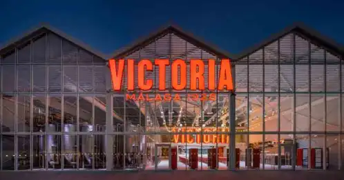 cerveza-victoria (1)