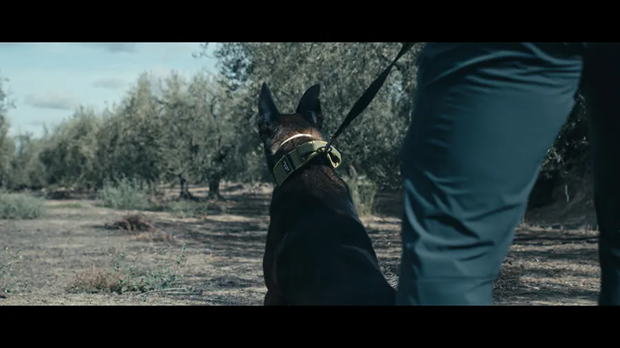 JRNLRS MASTER_01_08_12_05