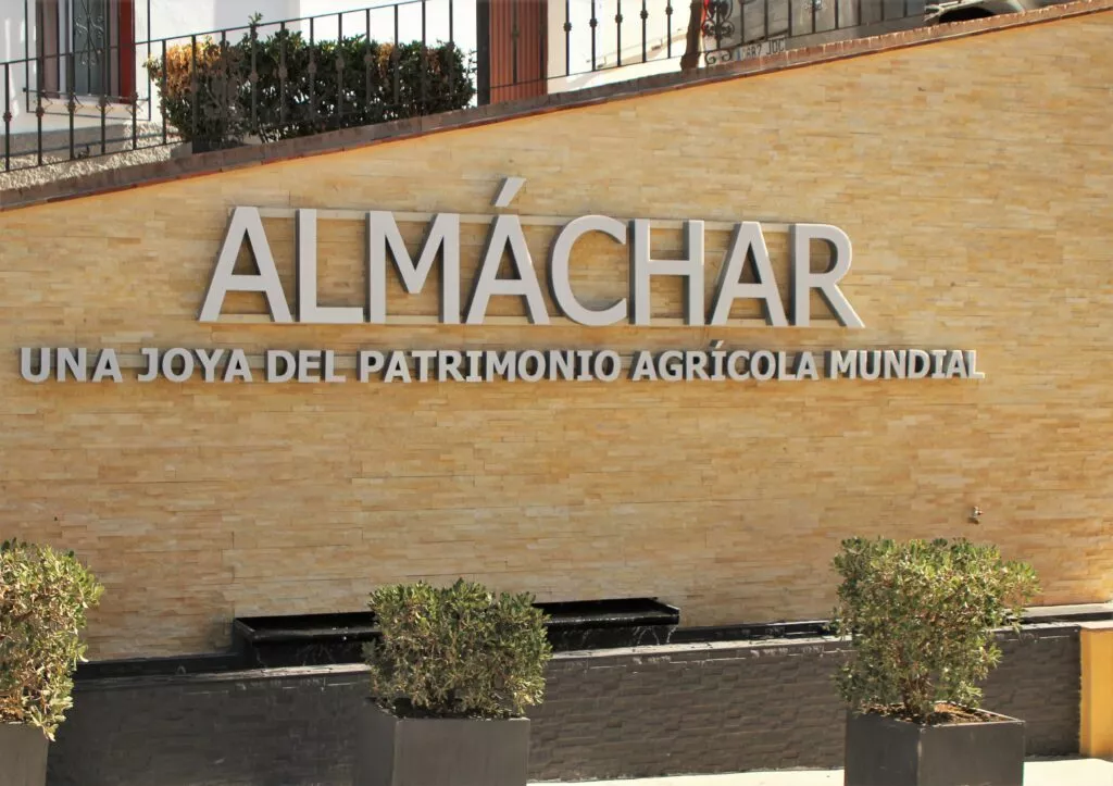 Almachar-pueblo-ruta-de-la-pasa-1024x723.jpg