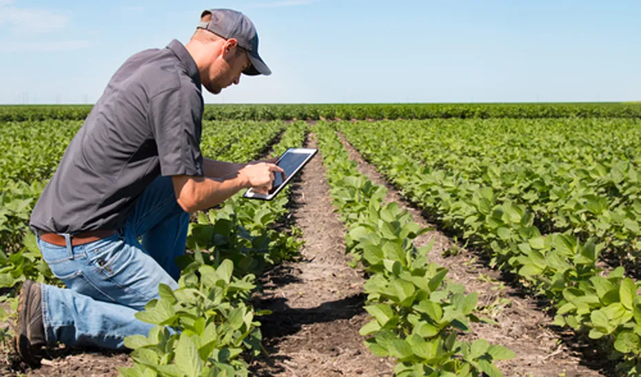 1544534603851jovenagricultorEstandar