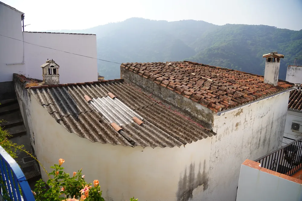 DSC01129