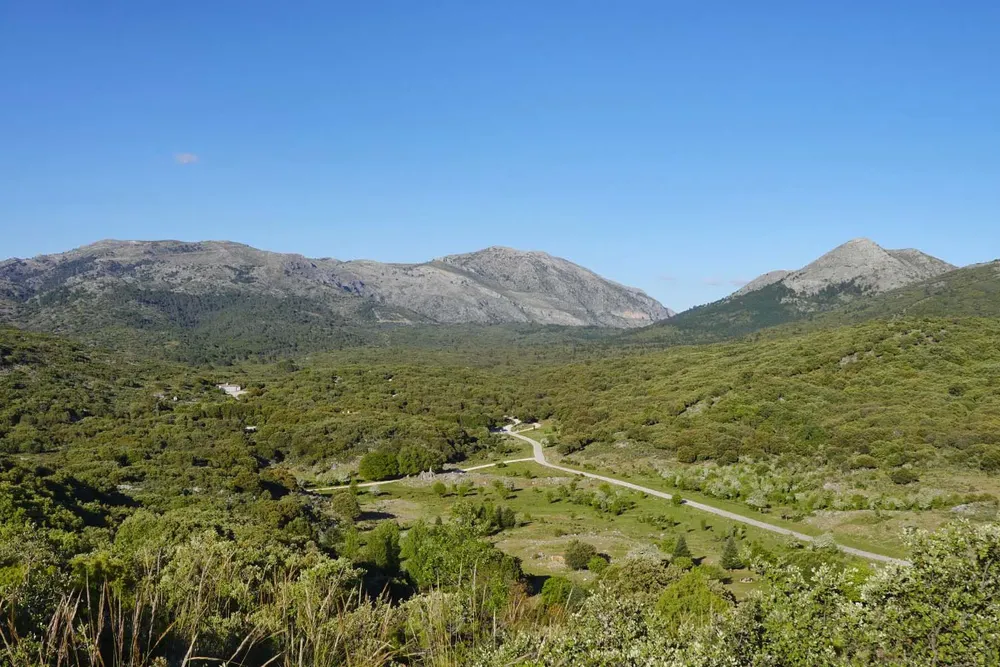 Polje_de_Conejeras-Foto_Rafael_Flores