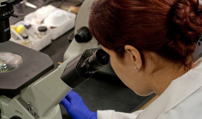 CSIF pide a la Inspección de Trabajo que paralice la manipulación de muestras en el laboratorio del Clínico por riesgos biológicos