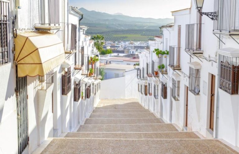 Visitar Osuna una experiencia para conocer patrimonio cultura y gastronomía local Hotel Palacio del Marqués