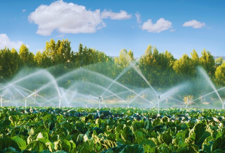 El papel de los sistemas de agua pulverizada en la ingeniería y la industria