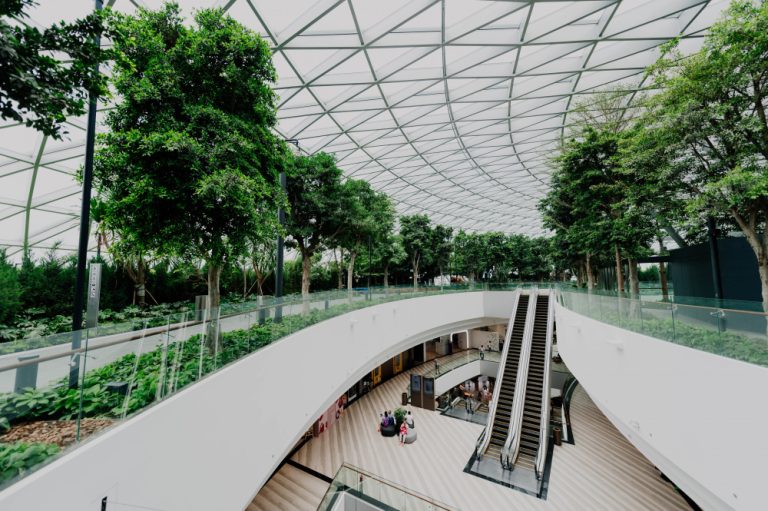 Estudios de arquitectura integran diseño técnica y sostenibilidad en proyectos actuales