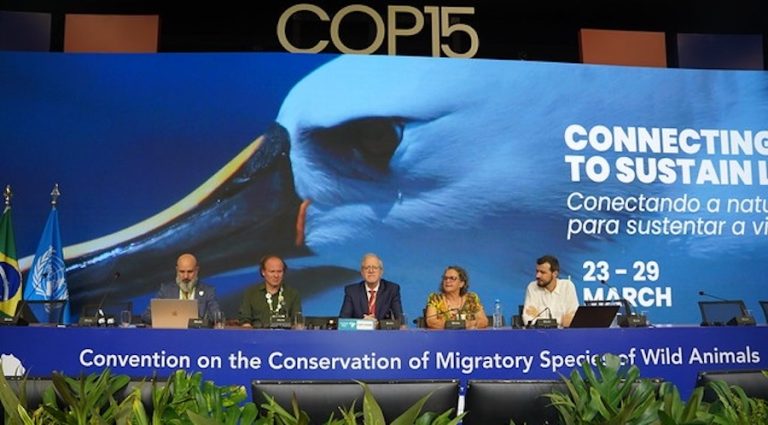 Más de 130 países pactan elevar la protección mundial del guepardo y el tiburón martillo