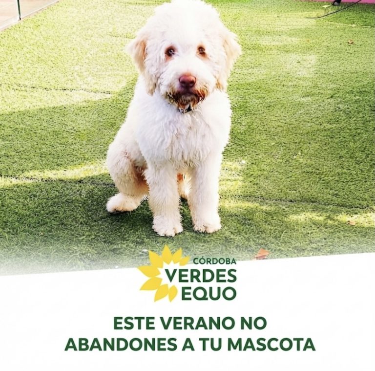 El Partido Verde alerta: el abandono animal en verano es crueldad y delito